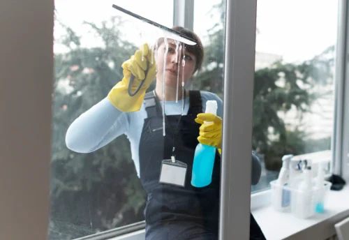 Nettoyage de vitres intérieures et extérieures à Trémentines